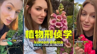 The secret of plants in murder cases⚠️