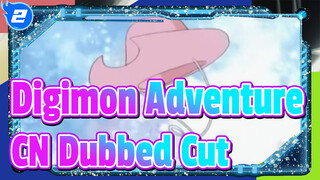 [Digimon Adventure] CN Dubbed Cut_2