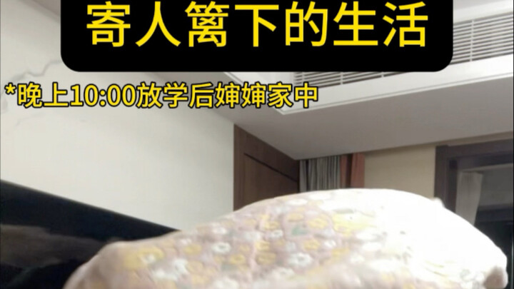 寄人篱下的生活｜                                   “其实根本没有狗在我屋里看电视，我也根本没有自己的屋”