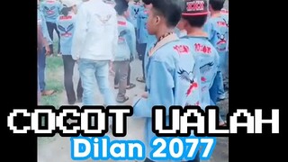 DILAN 2077 | CHOCHOT UALAH 15