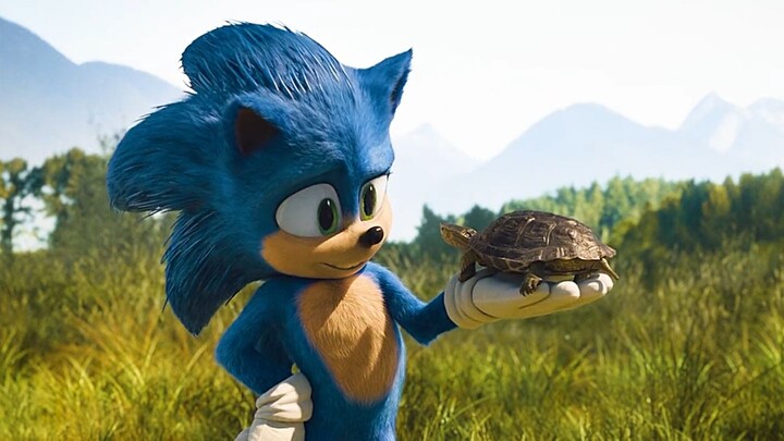 Kura-kura bisa membanggakan hal ini seumur hidup.