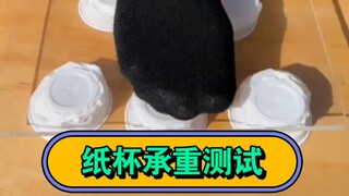 纸杯承重测试开始