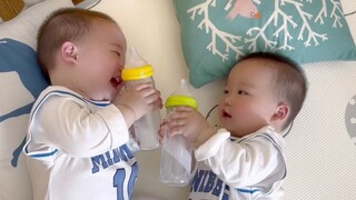 Aku salah besar. Seharusnya aku tidak mengajari mereka cara bersulang!