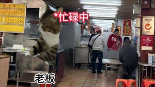 当上海人第一次来广东吃早餐