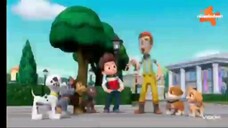 Paw patrol Musim 9 Episode 19 dan 20 Bahasa indonesia Vision+