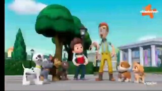 Paw patrol Musim 9 Episode 19 dan 20 Bahasa indonesia Vision+