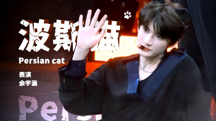 【余宇涵4K直拍】只做属于我的小猫《波斯猫》生于火焰