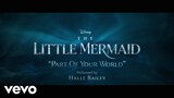 Halle - Part of Your World (From "The Little Mermaid"/Visualizer Video)