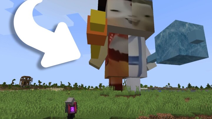 When the Magic Pill and Spirit Pearl were added to the MC server (Players: How come this is half Ao 