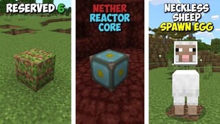 35 Item yang HANYA ADA di Minecrat Bedrock (Selain Education Edition)