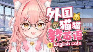 【问答回】外国猫教你学英语