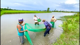 KÉO LƯỚI BẮT TÉP BẮT CÁ ĐỒNG