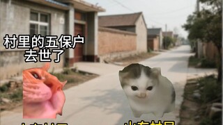 أهالي شاندونغ الذين ينعمون بالسعادة طوال حياتهم