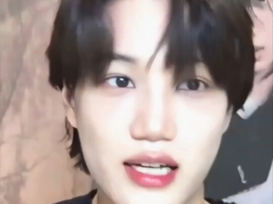 The Ever-Sincere Little Bear