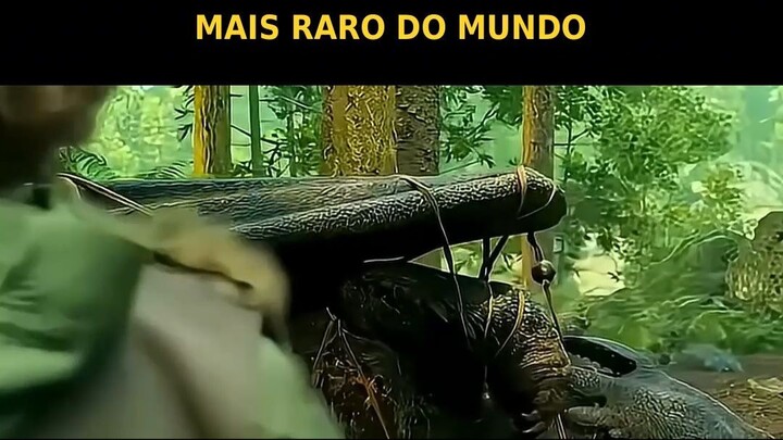 Ele alimentou um dragao