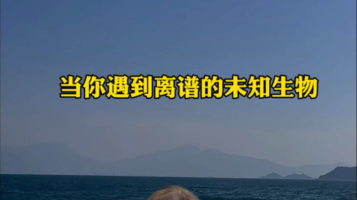 When you encounter an absurd unknown creature