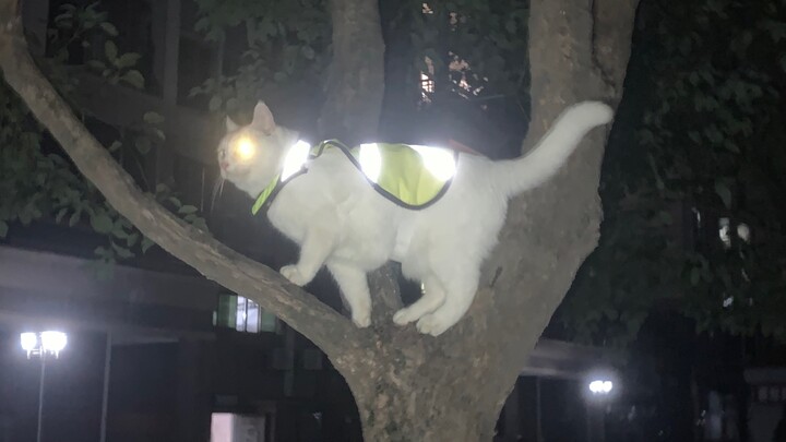 Ever since a new security guard was assigned to our residential community, there haven’t been any th