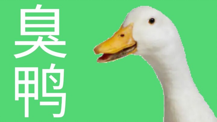 好 臭 鸭