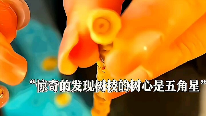 “Loyal bones rest in the memorial park, every plant and tree a badge of honor.”