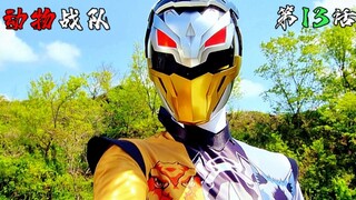 【动物战队】三种兽人之力传输给人类！杀戮游戏的特别玩家诞生！