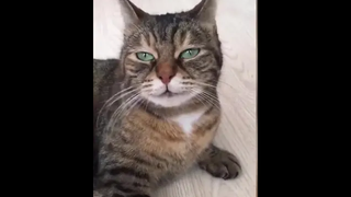 กลัวมาก แต่ไม่รู้เหมือนกันกลัวอะไร