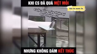 Khi cuộc sống đã quá mệt mỏi, nhưng bạn lại k dám kết thúc #meme