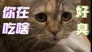 它发出了一种很新的叫声