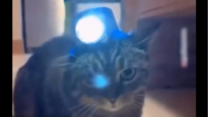 When No One Is There to Help You