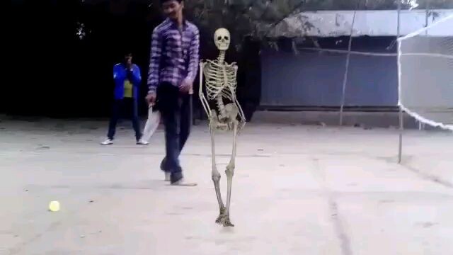 কংকাল | badminton | হাড় |  Skeleton