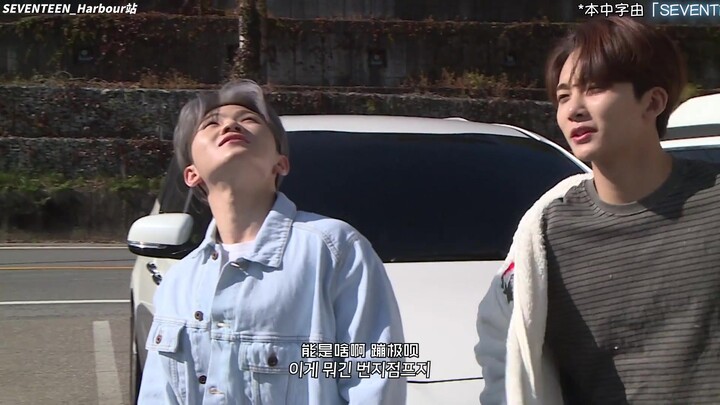 [SVT_Harbour subtitle bahasa Mandarin efektif] 201026 GOING SEVENTEEN EP.37 Langit luas kuda gemuk (