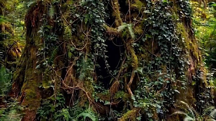 make a house in the tree #short#viral#treanding