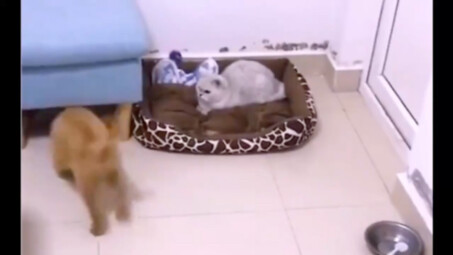 It’s already being very careful.