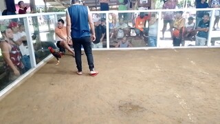 1st fight Pula PANALO