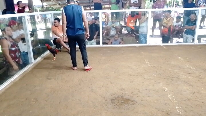 1st fight Pula PANALO