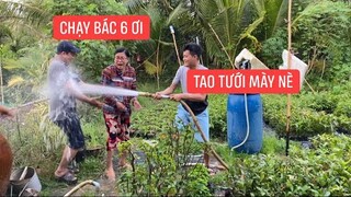 Ra vườn xin mai của mẹ Khương Dừa về trồng bất ngờ bị chơi khăm bỏ chạy không kịp