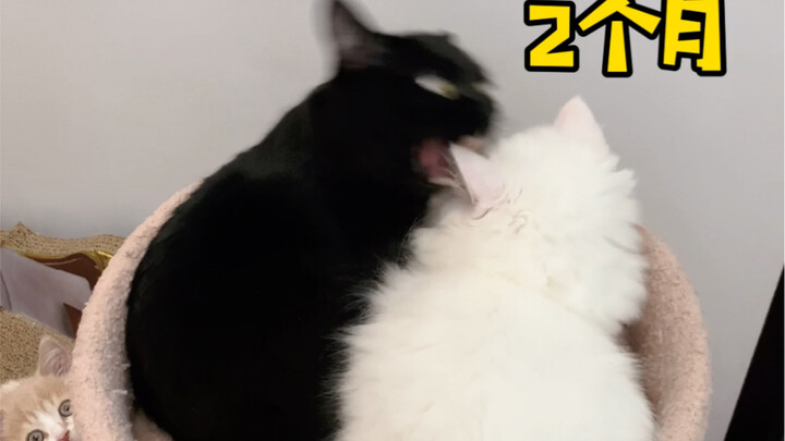 I never in my wildest dreams thought something like this would actually happen.