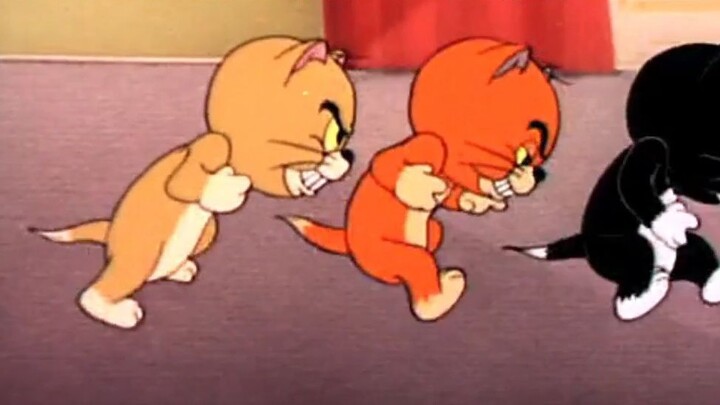 [Rất Chân Thực] Mở Vương Vương Vinh Quang cùng Tom và Jerry