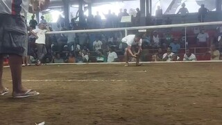 2nd fight wins.white leyte ang galing tumiming. 2hits ulutan.@champion #sabingnation