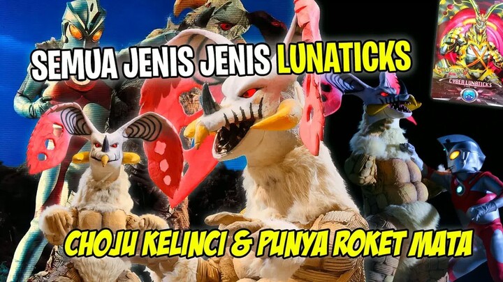 CHOJU KELINCI YAPOOL !! NGAK PERNAH COMEBACK LAGI  -  - Bahas Semua Jenis Jenis Choju Lunaticks