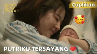 The Tale of Rose | Cuplikan EP24 Berhasil Melahirkan Seorang Putri | WeTV【INDO SUB】