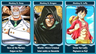 List Of One Piece Nickname Characters