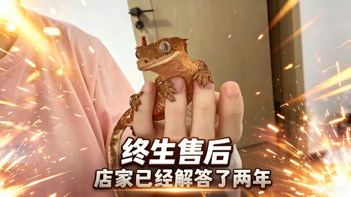 ฉันเล่นอินเทอร์เน็ตก็เพื่อมาดูสิ่งเหล่านี้! ชีวิตเล็กๆ ก็ต้องได้รับการดูแลอย่างดีเช่นกัน