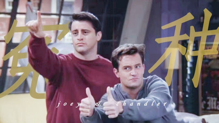 Chandler and His Poor Suffering Joey (Final Version)
