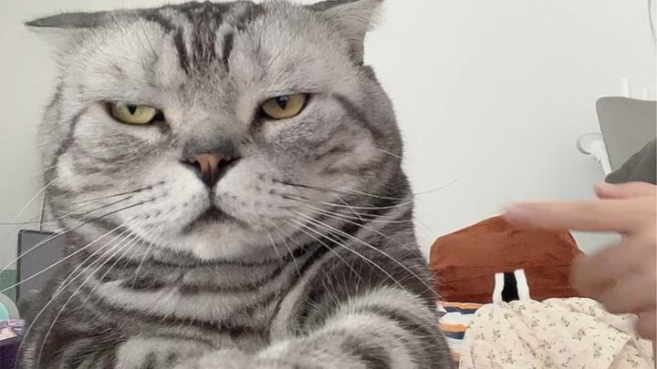 Đại Quách: Cậu chắc là mình đầu thai vào một gia đình tốt à?