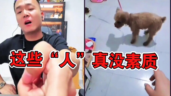 الأخت تطلب المساعدة من بان هونغ، فيتصل بها كوانغ كوانغ... هؤلاء "الأشخاص" حقًا بلا لياقة!