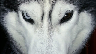 This damn sense of oppression is suffocating me.