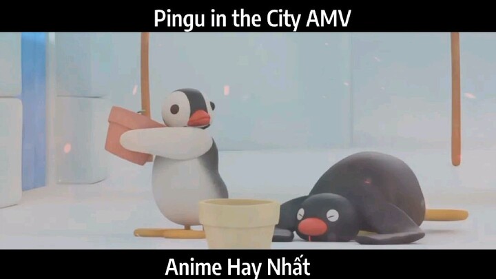 Pingu in the City AMV Hay nhất