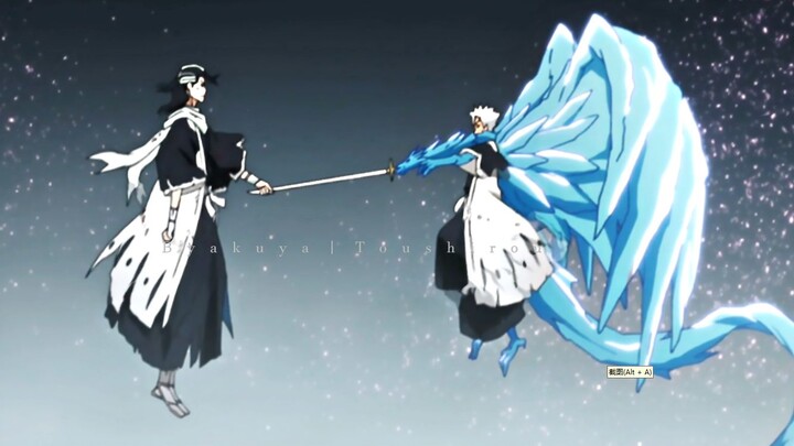 Kuchiki Byakuya VS Toushirou (Dabai VS Xiaobai)