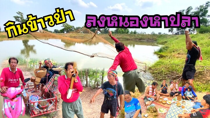 กินข้าวป่า!!ลงหนองหาปลาจะหมานหรือไม่!!