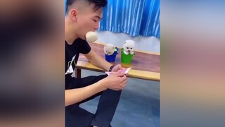 Lợi ích của việc nuôi mấy em cún này nhé haha pets chó chó_cưng funny